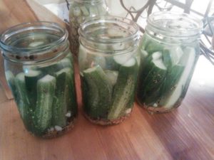 fermented dills quart jar